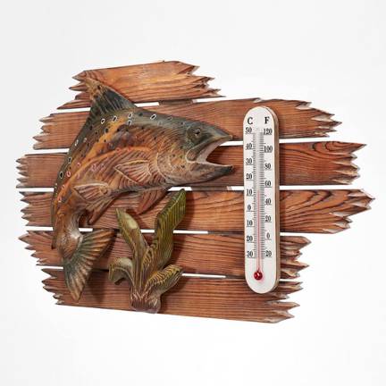 atmosphere-leisure-fish-thermometer