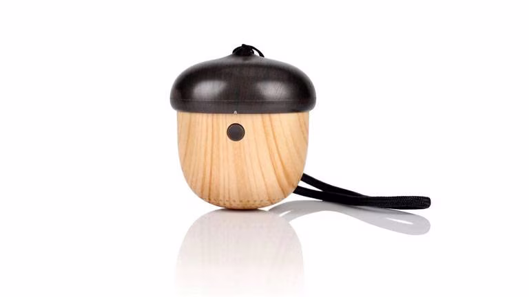 14.-acorn-speaker_8542_2019-11-27_17-19