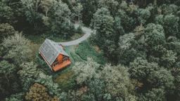 clay-banks-iWMU4CdPoWs-unsplash_11868_2023-12-04_19-57
