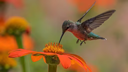 dulcey-lima-K_RlYhnKoh8-unsplash_11868_2023-04-14_11-05