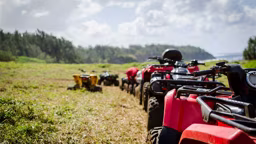 Powersports Relationship Quiz