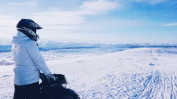 Straight Talk on Snowmobiles