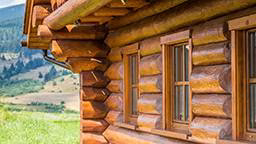 log and timber companies