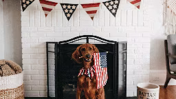 Decor for the Fourth of July