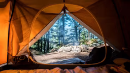 scott-goodwill-y8Ngwq34_Ak-unsplash_11868_2023-04-21_08-28