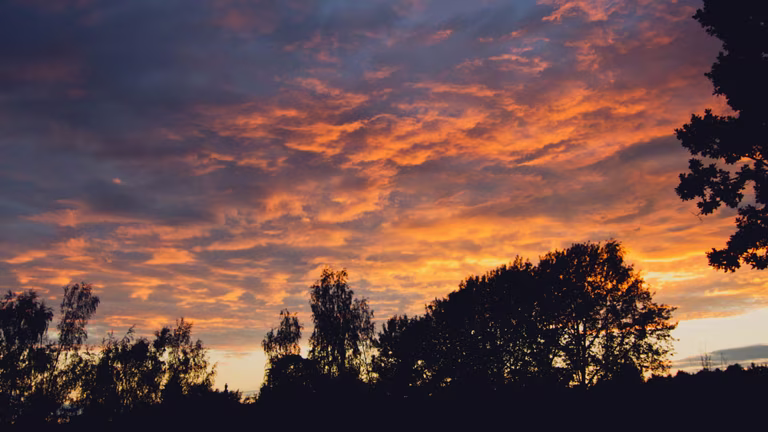 thomas-richter-DH1D-Ra7Epg-unsplash_11868_2023-08-21_15-27